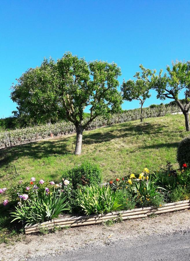 Le Logis Du Vendangeur Ferienhaus Champillon