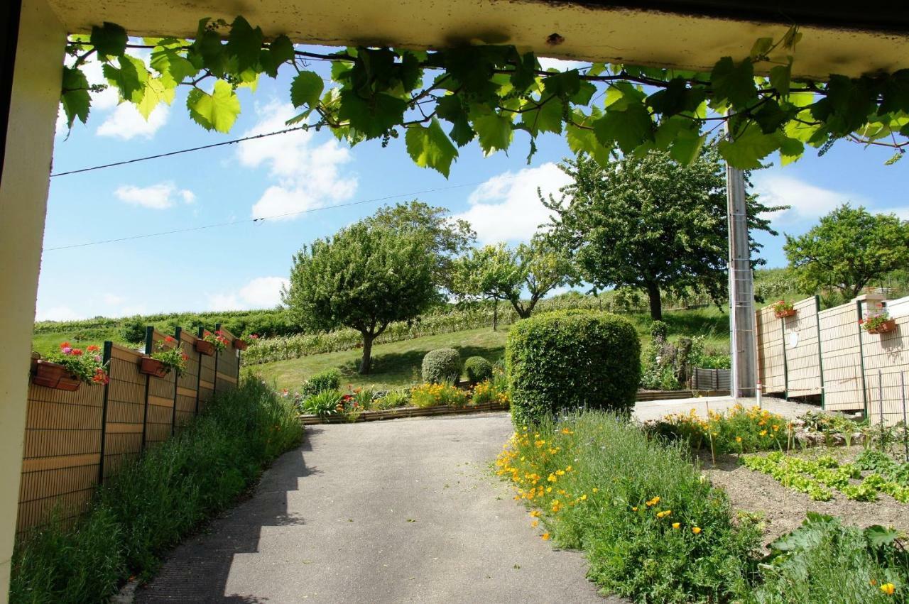 Casa vacanze Le Logis Du Vendangeur *